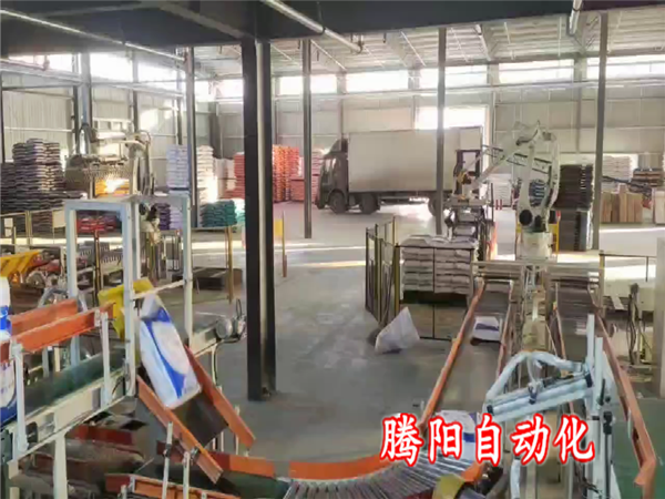 雙線雙爪飼料碼垛機器人