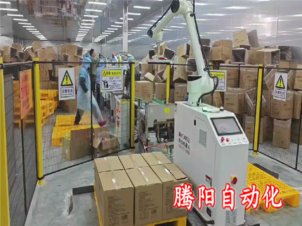 箱裝食品協作碼垛機器人
